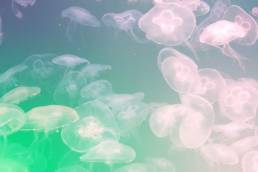 © Bettina Wassermann